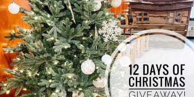 Okanagan Dentistry's Annual 12 Days of Christmas Giveaway Is Almost Here!
